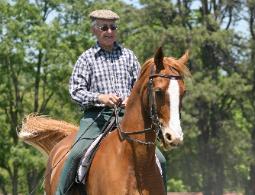 French Classical Dressage picture